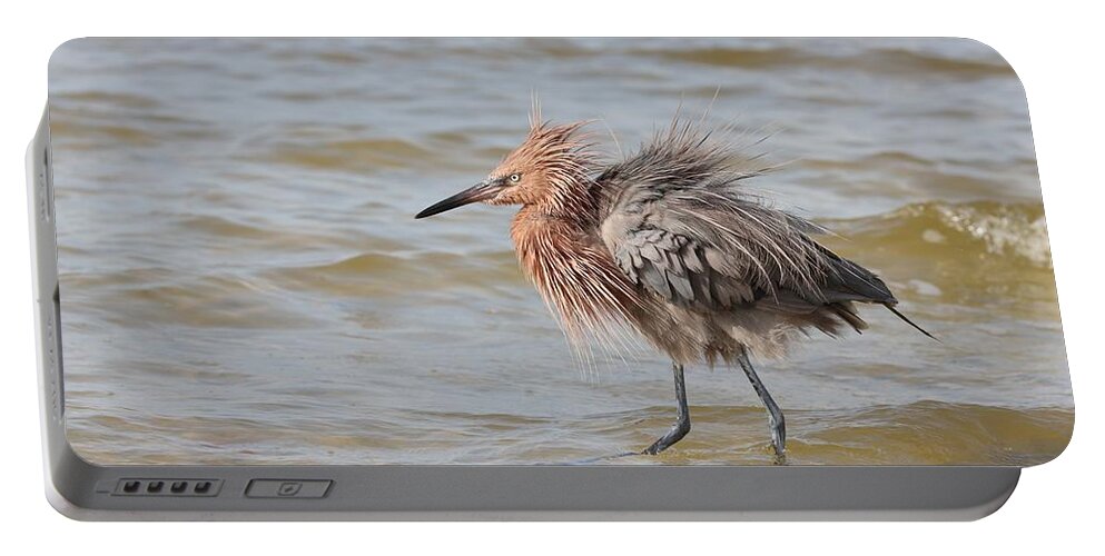 Reddish Egret Portable Battery Charger featuring the photograph Shake, Shake 3 by Mingming Jiang