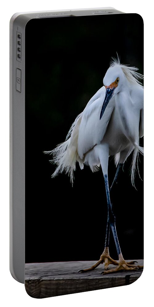 Bird Portable Battery Charger featuring the photograph Shall We Dance by Shara Abel
