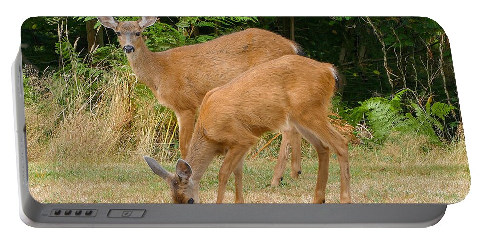 Deer Apple Doe White Tail Fstop101 Forest Woods Portable Battery Charger featuring the photograph Sharing an Apple by Geno