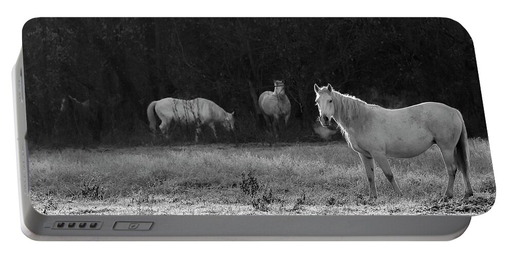 Shawnee Portable Battery Charger featuring the photograph Shawnee Herd by Holly Ross