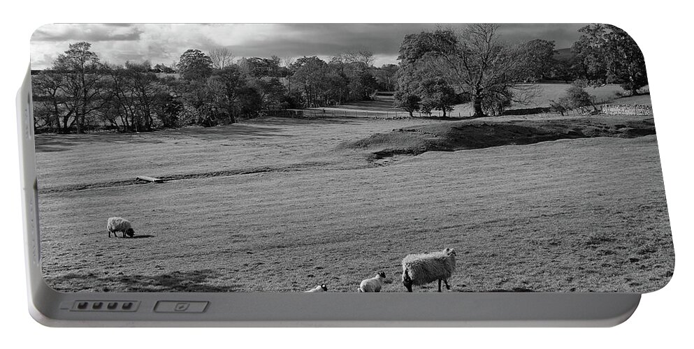 Sheep Portable Battery Charger featuring the photograph Sheep by Jim Mathis