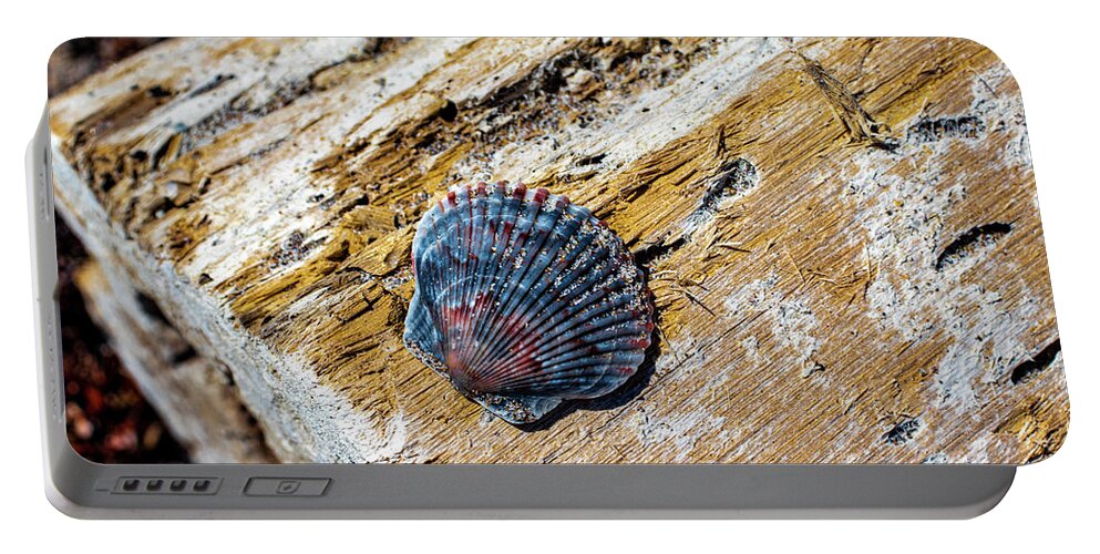Shell Portable Battery Charger featuring the photograph Shell Drifting by Blair Damson