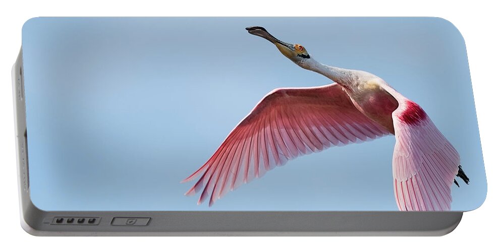 Roseate Spoonbill Portable Battery Charger featuring the photograph Shooting Star by Puttaswamy Ravishankar