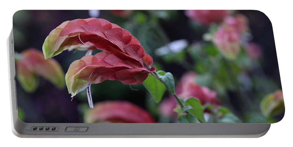 Shrimp Plant Portable Battery Charger featuring the photograph Shrimp Plant by Mingming Jiang