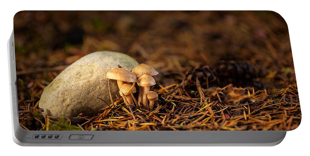 Nature Portable Battery Charger featuring the photograph Shroom Family by Bob Cournoyer