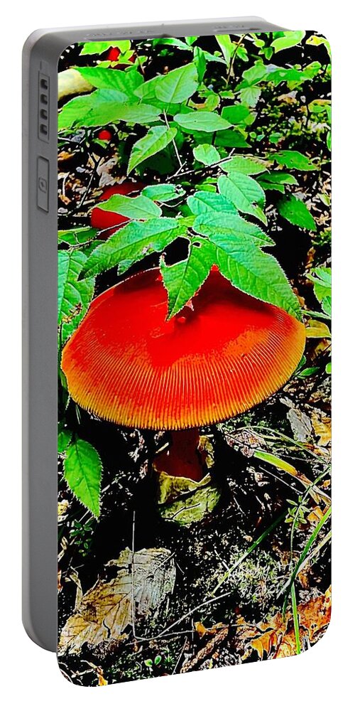 Southern Tier Western New York Frewsburg Usa Cabin Living Portable Battery Charger featuring the photograph Shrooms by John Anderson