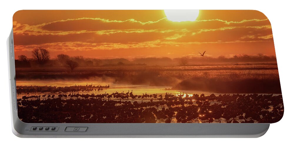 Sandhill Cranes Portable Battery Charger featuring the photograph Silhouettes Upon the Platte by Susan Rissi Tregoning