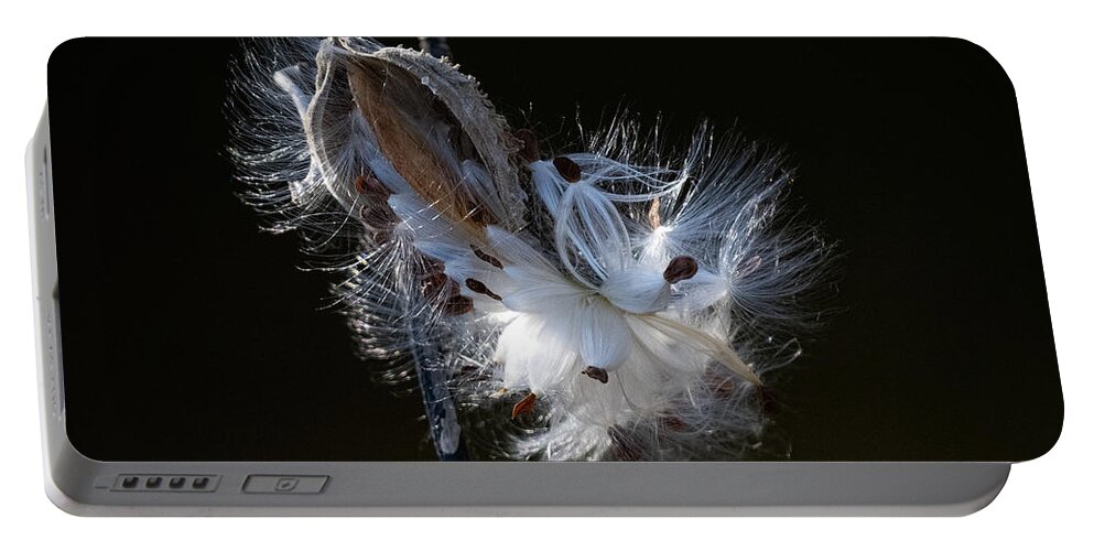 Milkweed Portable Battery Charger featuring the photograph Silky Seed Carriers by Linda Bonaccorsi