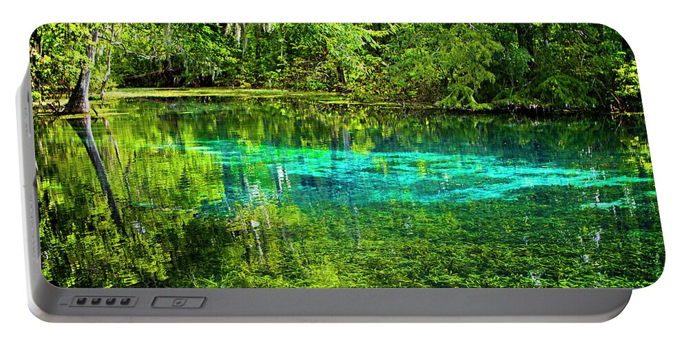 Color Portable Battery Charger featuring the photograph Silver River Pool by Alan Hausenflock