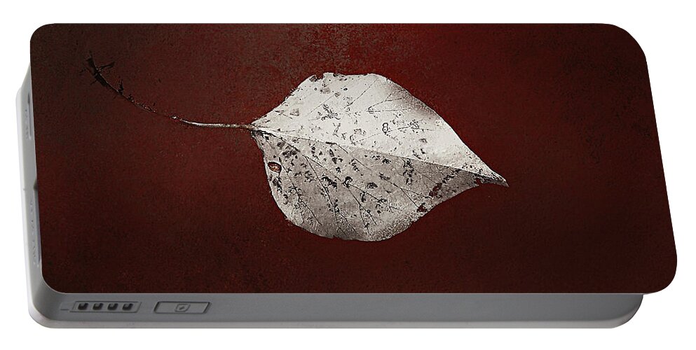 Leaf Portable Battery Charger featuring the photograph Silver Single Looking For Love by Rene Crystal