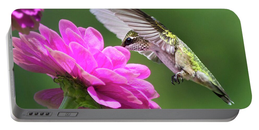 Bird Portable Battery Charger featuring the photograph Simple Pleasure Hummingbird Square by Christina Rollo