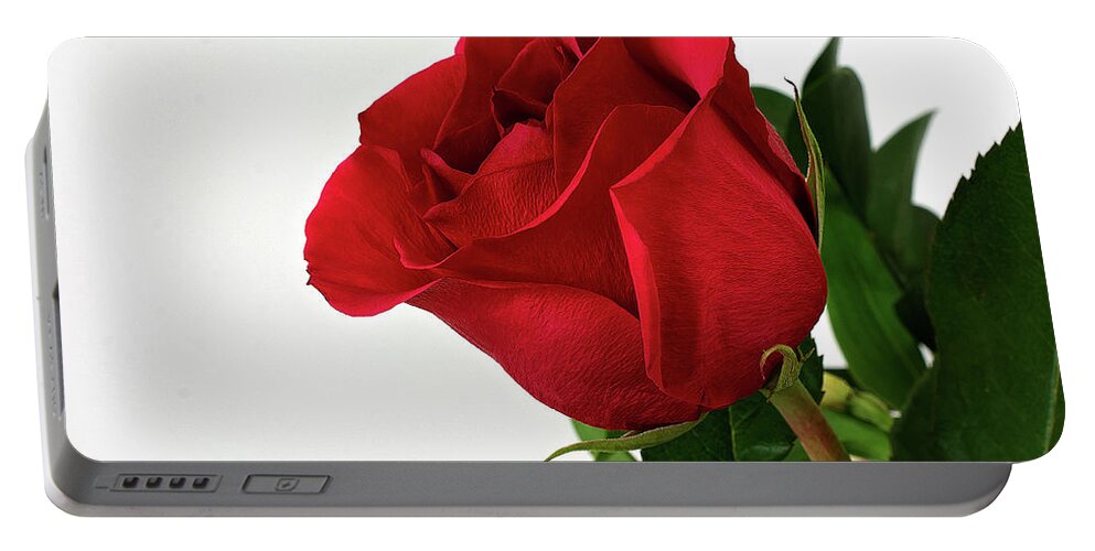 Single Red Rose Wall Art Portable Battery Charger featuring the photograph Single Red Rose by Gwen Gibson
