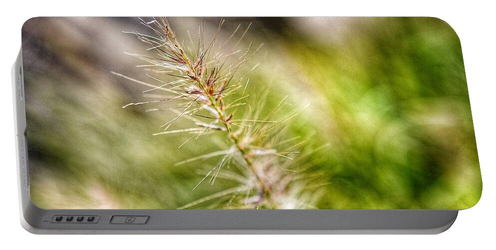 Photo Portable Battery Charger featuring the photograph Singular Blade of Grass by Evan Foster