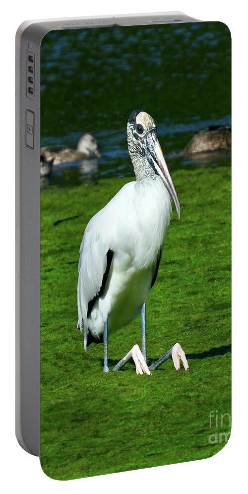 Wood Stork Portable Battery Charger featuring the photograph Sitting Stork - Vertical by Beth Myer Photography