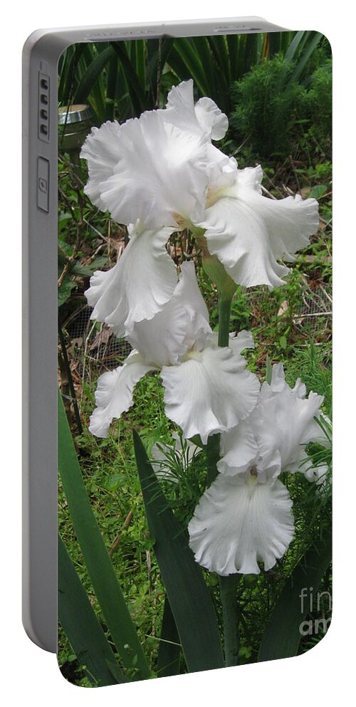 Iris Portable Battery Charger featuring the photograph Skating Party White Iris by Catherine Ludwig Donleycott