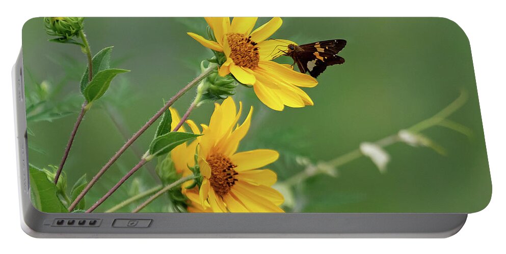 Sunflower Portable Battery Charger featuring the photograph Skipper on Yellow Flowers by Mindy Musick King