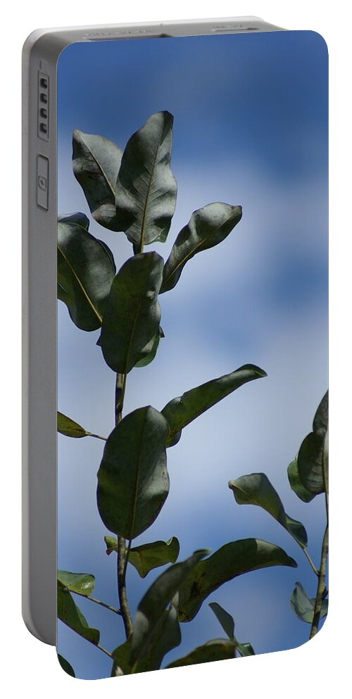  Portable Battery Charger featuring the photograph Sky Branches by Heather E Harman