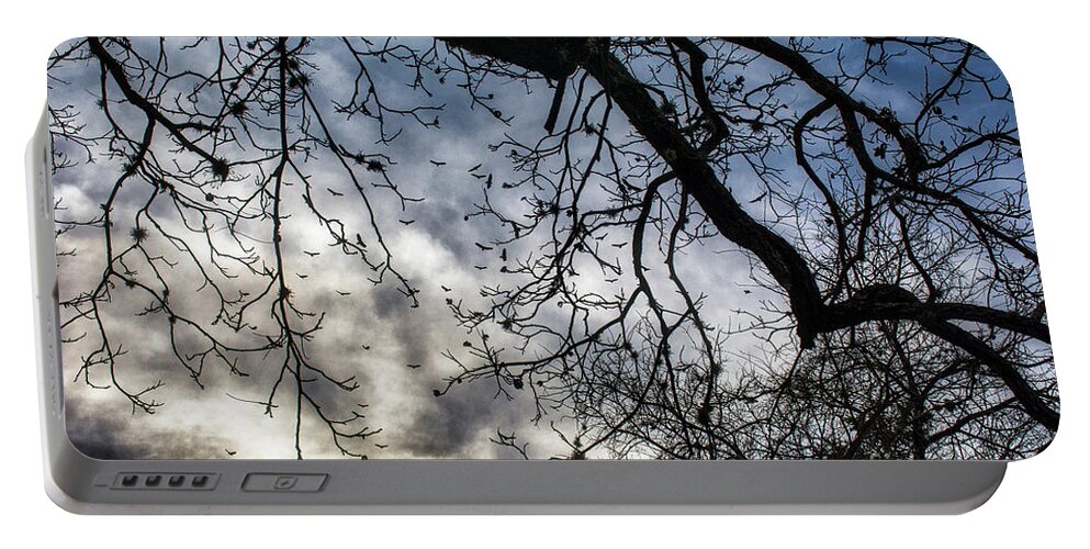 Tree Portable Battery Charger featuring the photograph Sky Trees Birds by Glen Carpenter