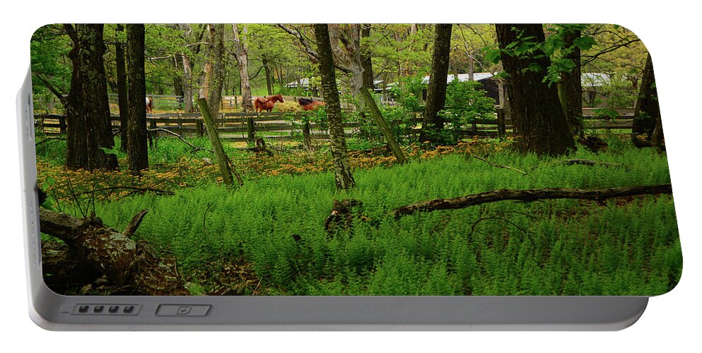 Skyland Horse Stables From The At Portable Battery Charger featuring the photograph Skyland Horse Stables from The AT by Raymond Salani III