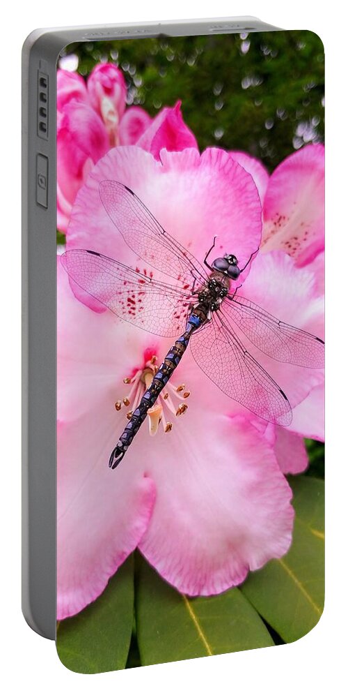 Dragonfly Portable Battery Charger featuring the photograph Sleeping Dragonfly by Darrell MacIver