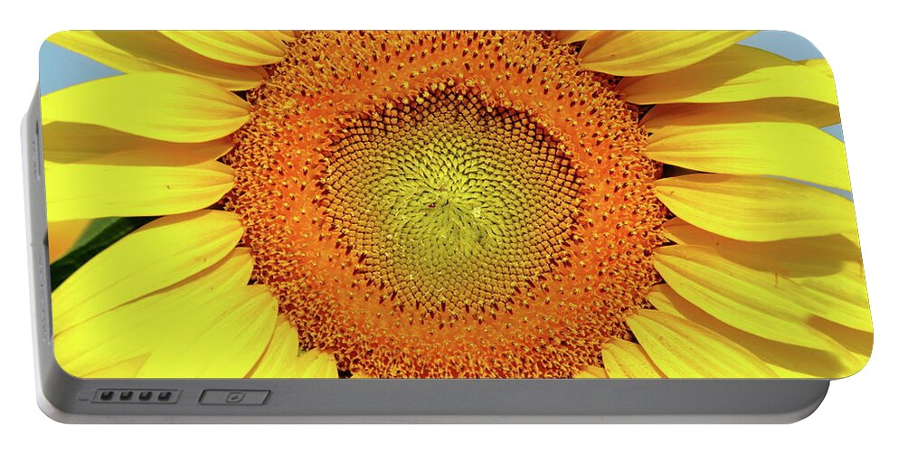 Sunflower Portable Battery Charger featuring the photograph Smile by Lens Art Photography By Larry Trager