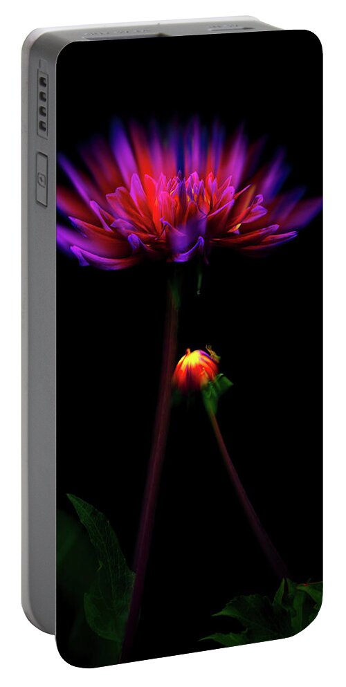 Garden Portable Battery Charger featuring the photograph Smittened by Cynthia Dickinson