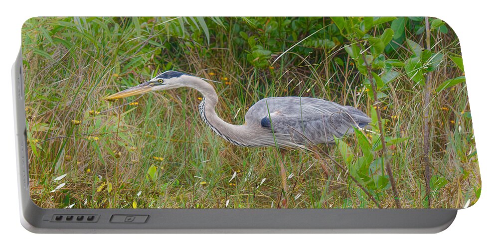 Coastal Birds Portable Battery Charger featuring the photograph Sneaking By by Judy Kay