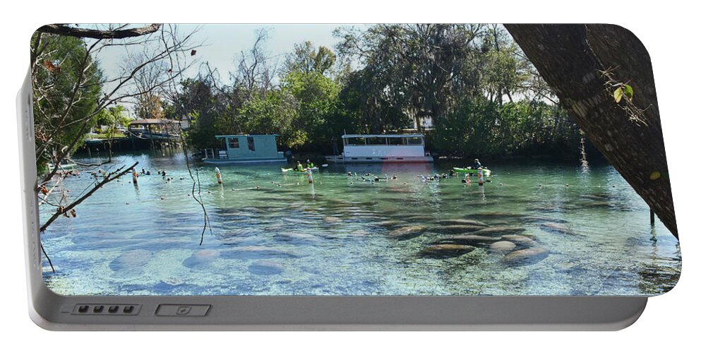 Manatee Portable Battery Charger featuring the photograph Snorkeling With The Manatees 1 by Aimee L Maher ALM GALLERY