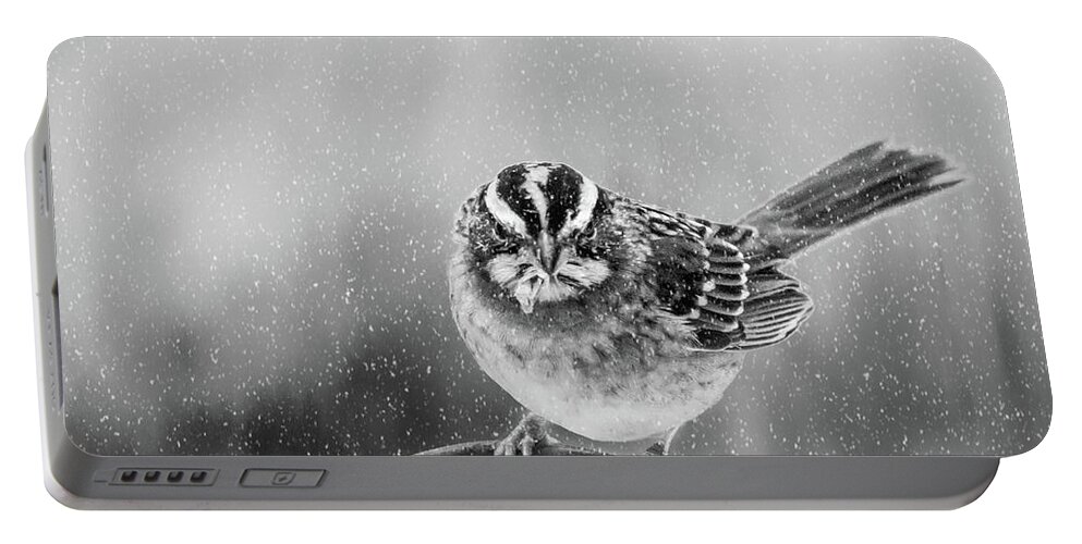 Bird Portable Battery Charger featuring the photograph Snow Again by Cathy Kovarik