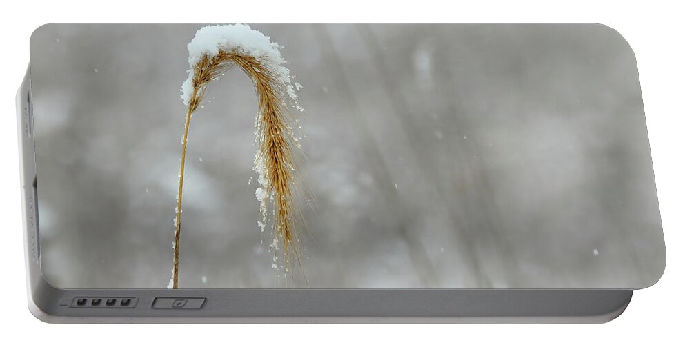 Snow Portable Battery Charger featuring the photograph Snow Capped by Lens Art Photography By Larry Trager