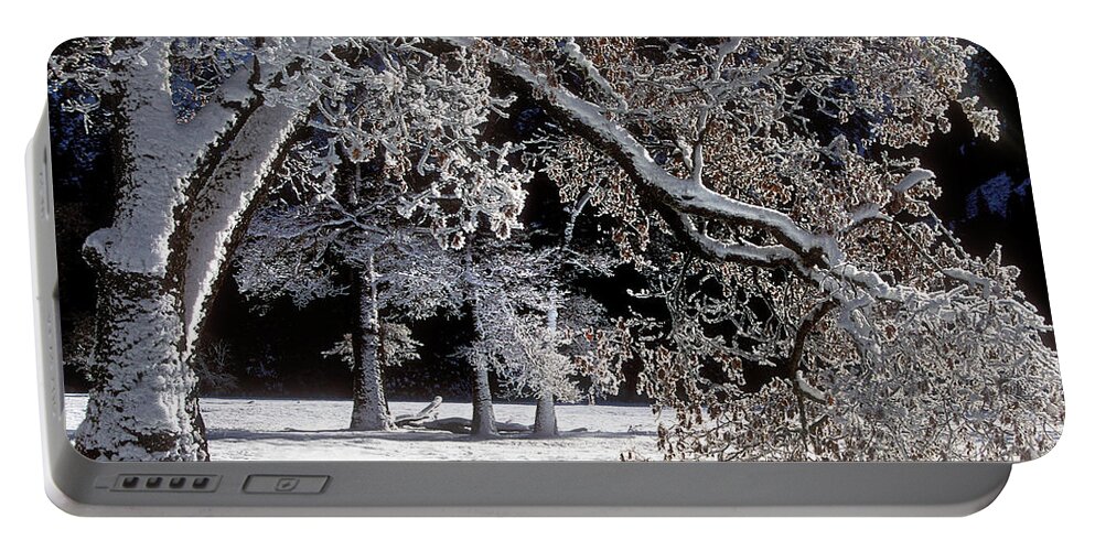 Black Oak Portable Battery Charger featuring the photograph Snow Covered Black Oak Yosemite National Park by Dave Welling