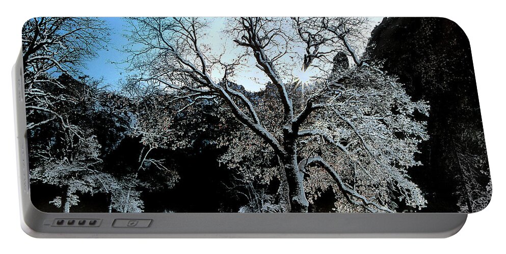 Dave Welling Portable Battery Charger featuring the photograph Snow Covered Black Oaks Quercus Kelloggii Yosemite by Dave Welling