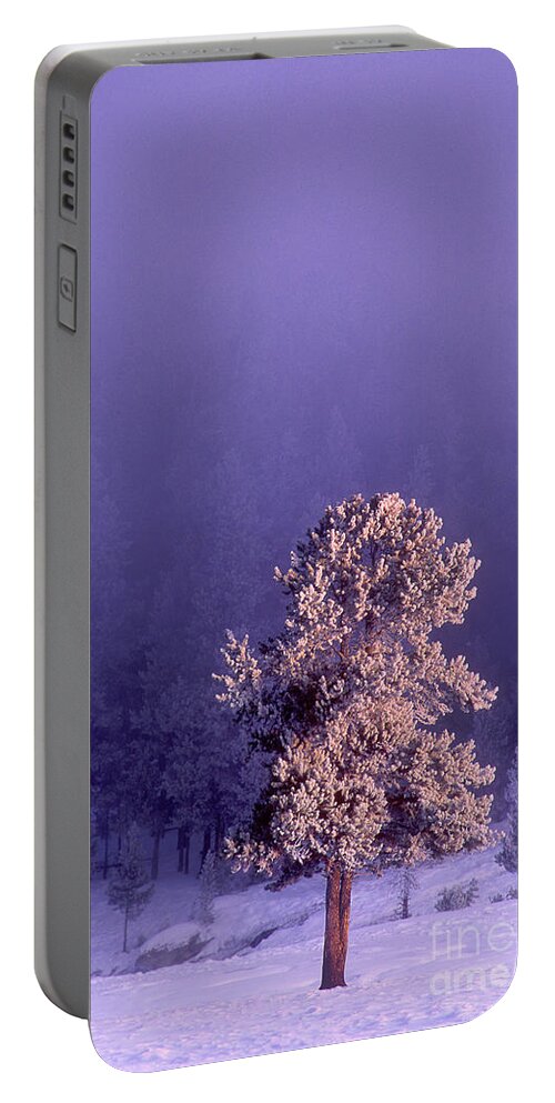 Dave Welling Portable Battery Charger featuring the photograph Snow Covered Fir Tree Yellowstone National Park by Dave Welling