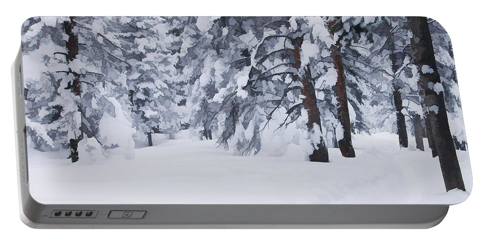 Beauty Portable Battery Charger featuring the photograph Snow-dappled Woods by Don Schwartz