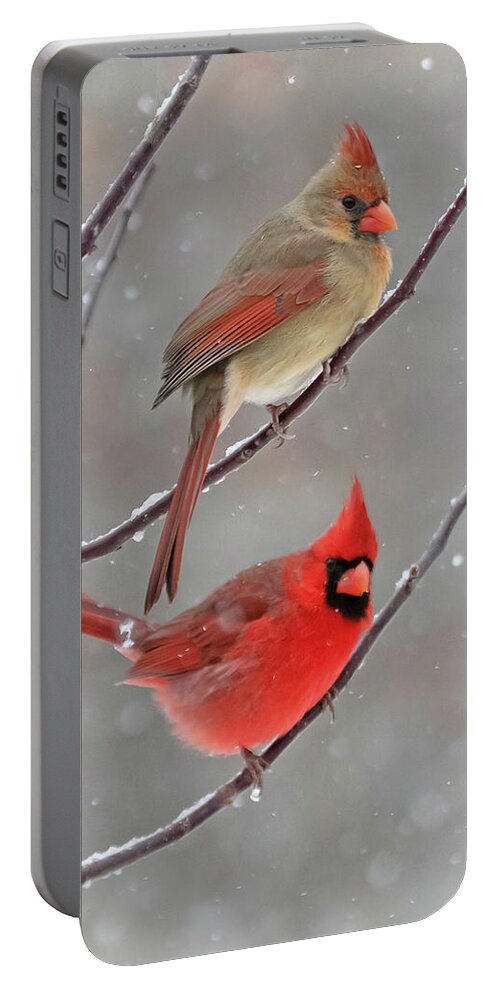Snow Portable Battery Charger featuring the photograph Snow Day by Mindy Musick King