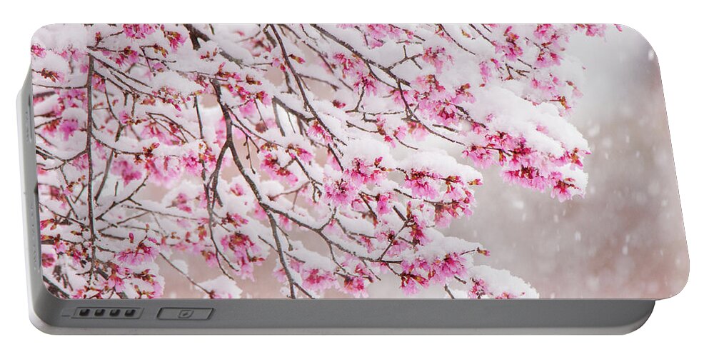 Cherry Blossoms Portable Battery Charger featuring the photograph Snow on Cherry Blossoms by Mary Ann Artz