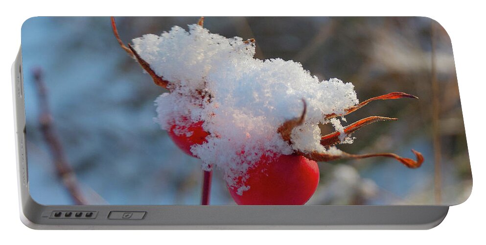 Rose Hips Portable Battery Charger featuring the photograph Snow On Rose Hips by Karen Rispin