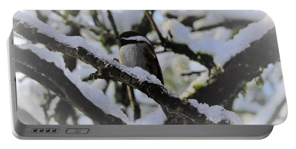 Bird Portable Battery Charger featuring the photograph Snowbird by James Cousineau