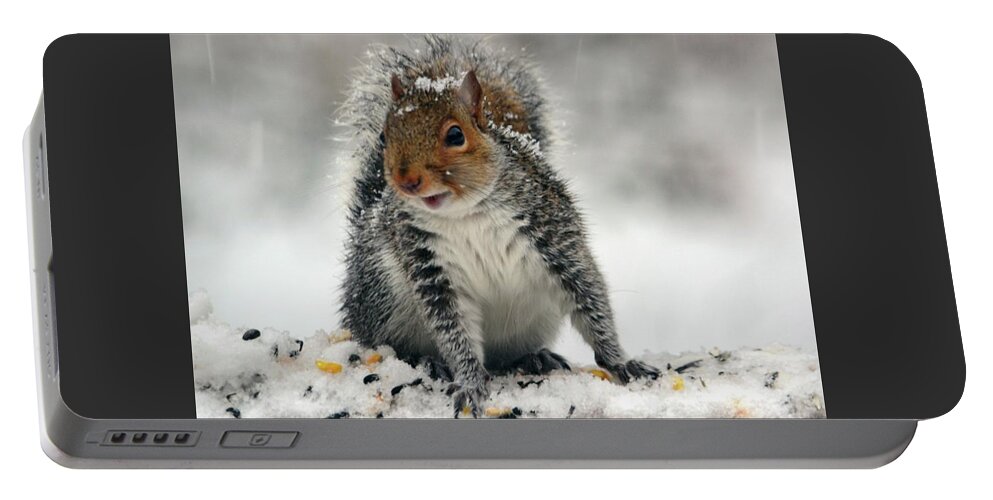 Squirrel Portable Battery Charger featuring the photograph Snowy Curious Squirrel by Sea Change Vibes