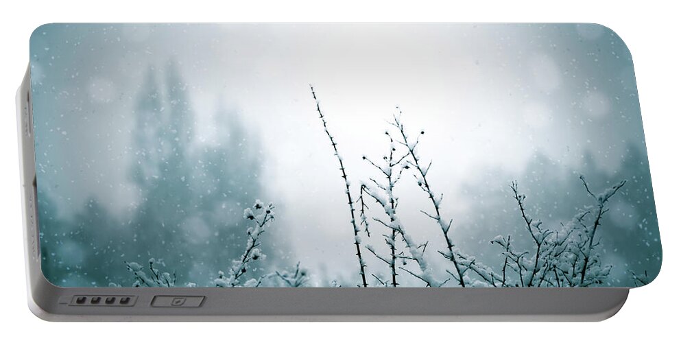 Snow Portable Battery Charger featuring the photograph Snowy Day Abstract by Naomi Maya