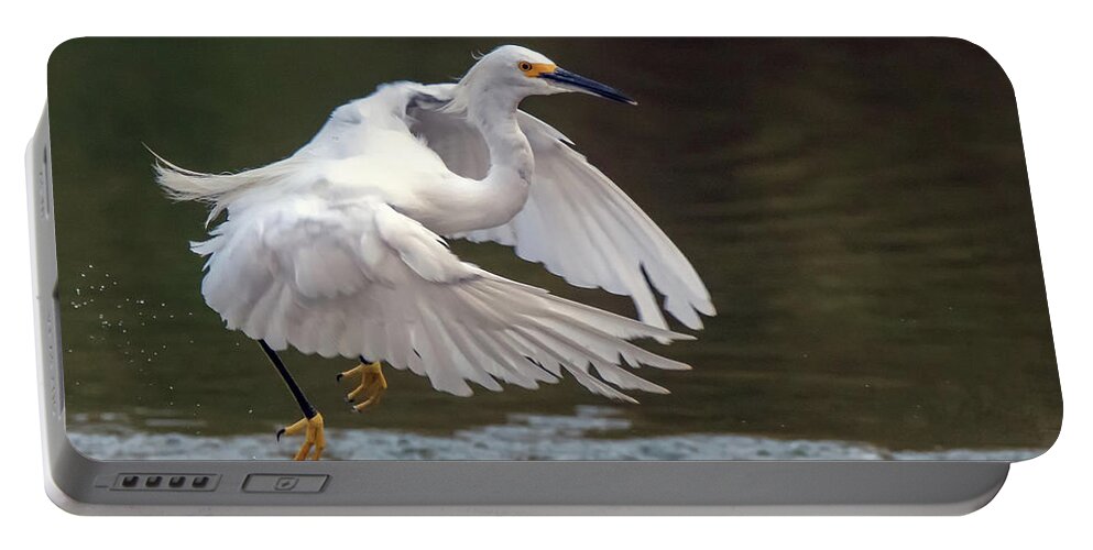 Snowy Egret Portable Battery Charger featuring the photograph Snowy Egret 7907-082520-2 by Tam Ryan