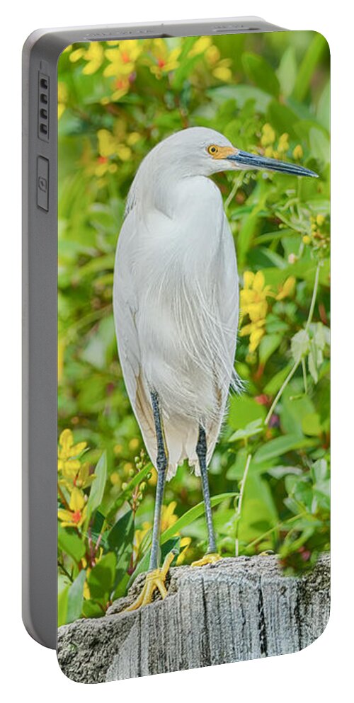 Egrets Portable Battery Charger featuring the photograph Snowy Egret and Thryallis by Judy Kay