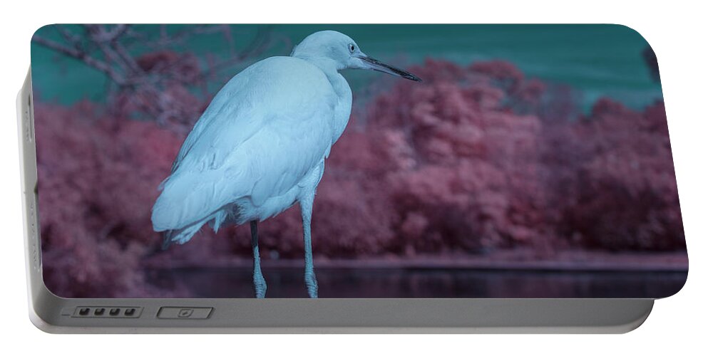 Bird Portable Battery Charger featuring the photograph Snowy Egret by Carolyn Hutchins