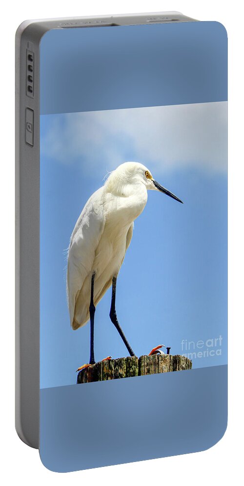 Egret Portable Battery Charger featuring the photograph Snowy Egret Gazing in the Distance by Joanne Carey