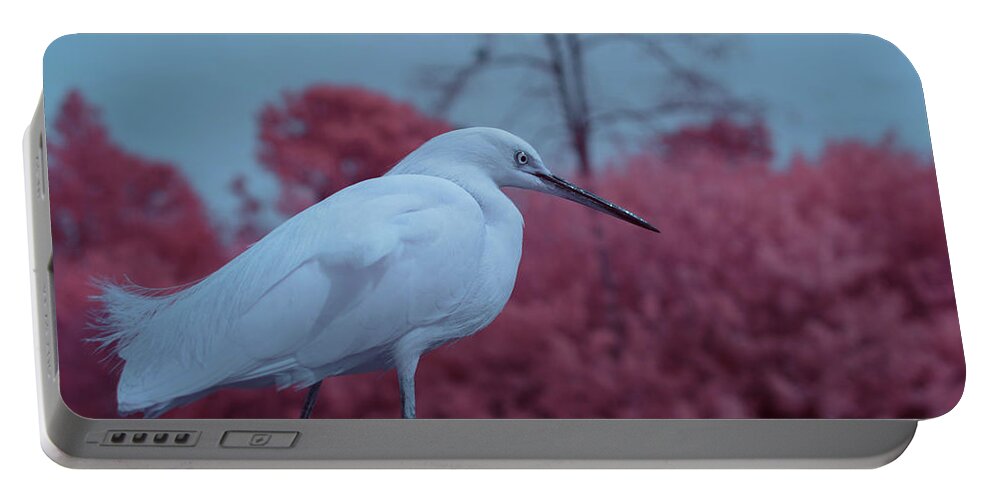 Bird Portable Battery Charger featuring the photograph Snowy Egret in Infrared by Carolyn Hutchins