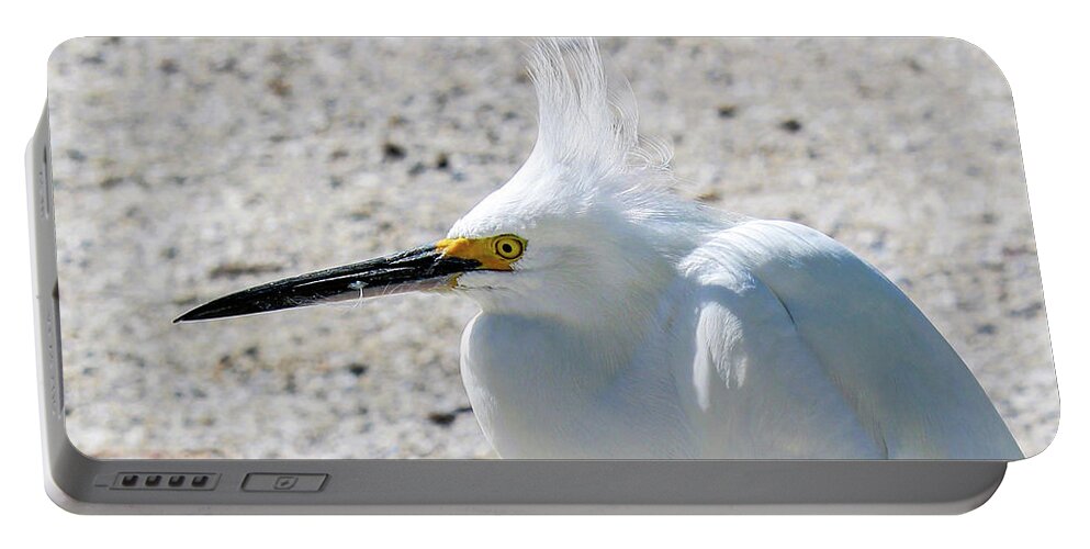Snowy Egret Portable Battery Charger featuring the photograph Snowy by Joanne Carey