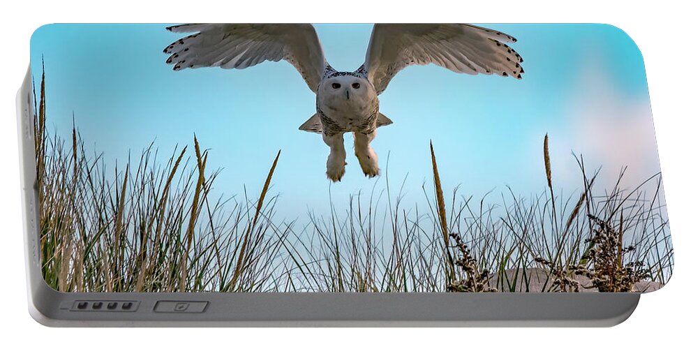 Owl Portable Battery Charger featuring the photograph Snowy Owl In Flight by Cathy Kovarik