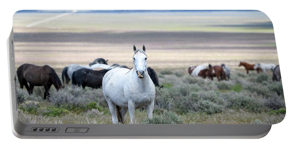 Horse Portable Battery Charger featuring the photograph Snowy the Wild Mare by Fon Denton