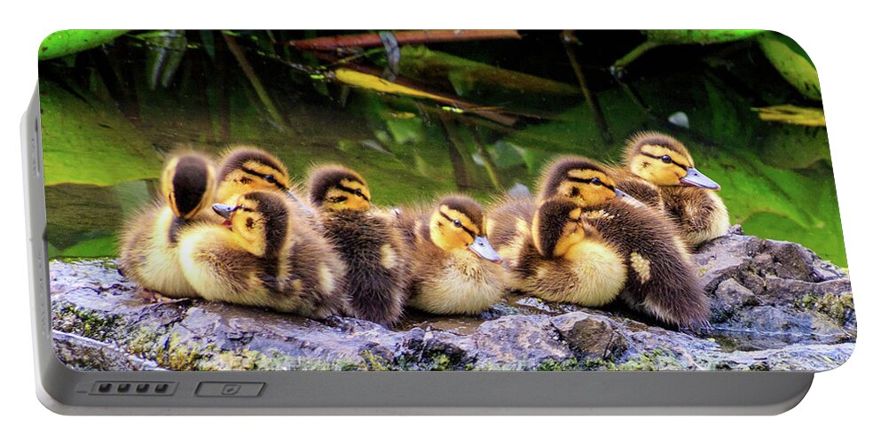 Birds And Animals Portable Battery Charger featuring the photograph Snuggles by Phyllis McDaniel