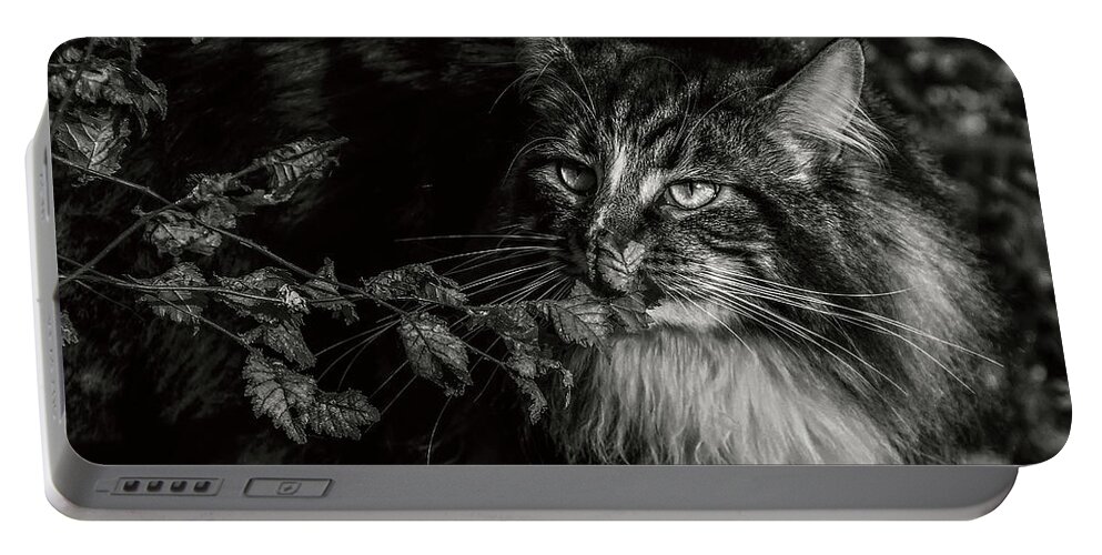 Cat Portable Battery Charger featuring the photograph So many scents by Jaroslav Buna